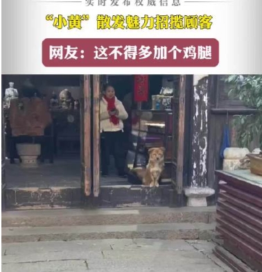 狗狗在店门口摇头晃脑招揽客人